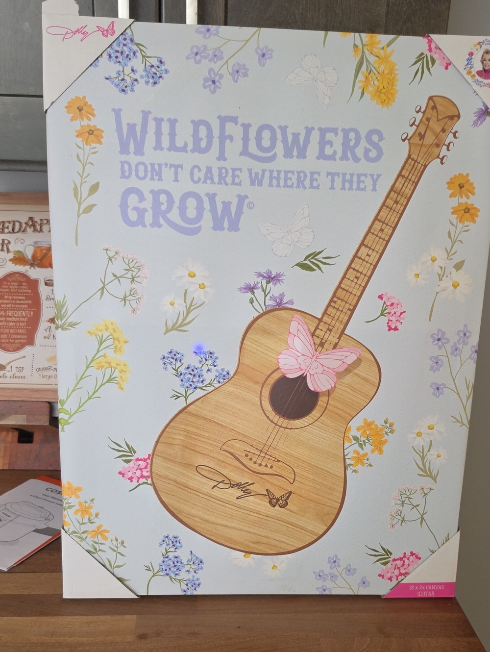 New Dolly Parton Wildflowers Don't Care Where They Grow Guitar Wall Art 18 X 24